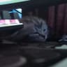 nxclip