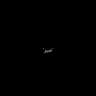 legend-indigo-tiger